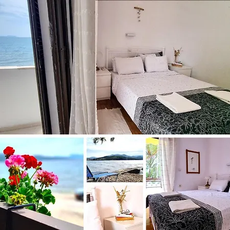 Thalia Lefkada